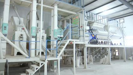 “碰網(wǎng)觸電”拓銷路，黃陂大米借力電商升級設備銷售